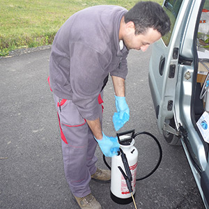 Poloskairtás Budapest - megfelelő eljárás kiválasztása