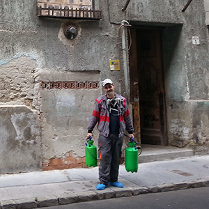 Poloskairtás Budapest - poloskairtás után