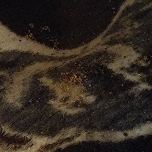 Poloskairtás Budapest - takarókon megbúvó poloskák